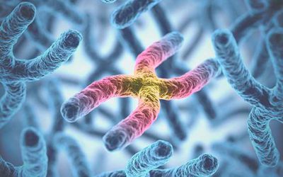 Ier Simposio internacional Hygeía sobre medioambiente y cáncer de mama